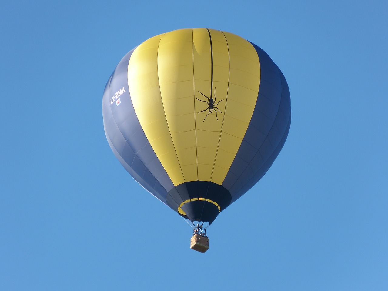 hot air balloon sky fly free photo