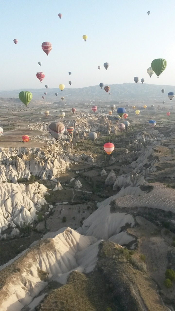 hot air balloon balloon hot air balloon ride free photo