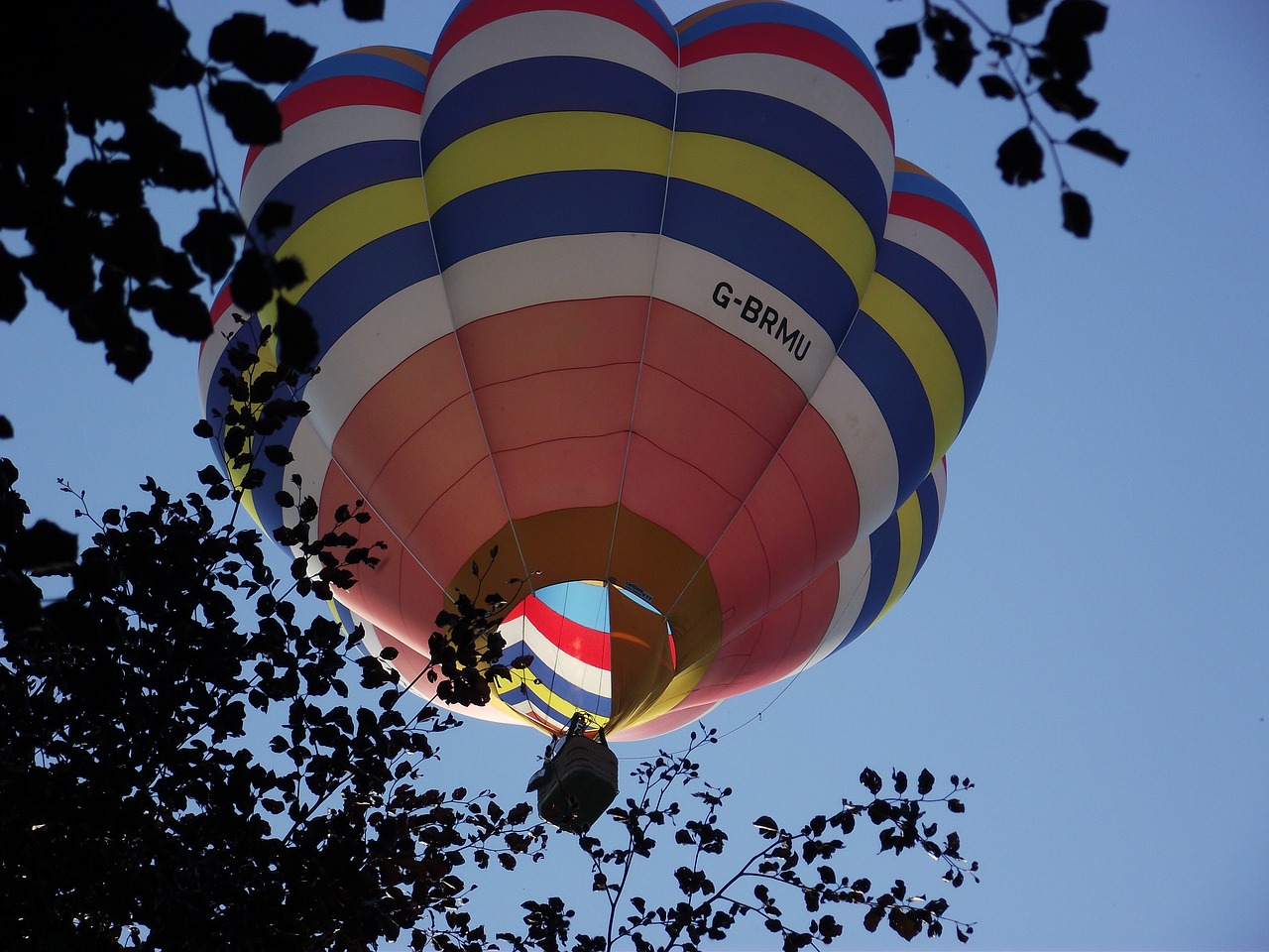 hot air balloon balloon flying free photo