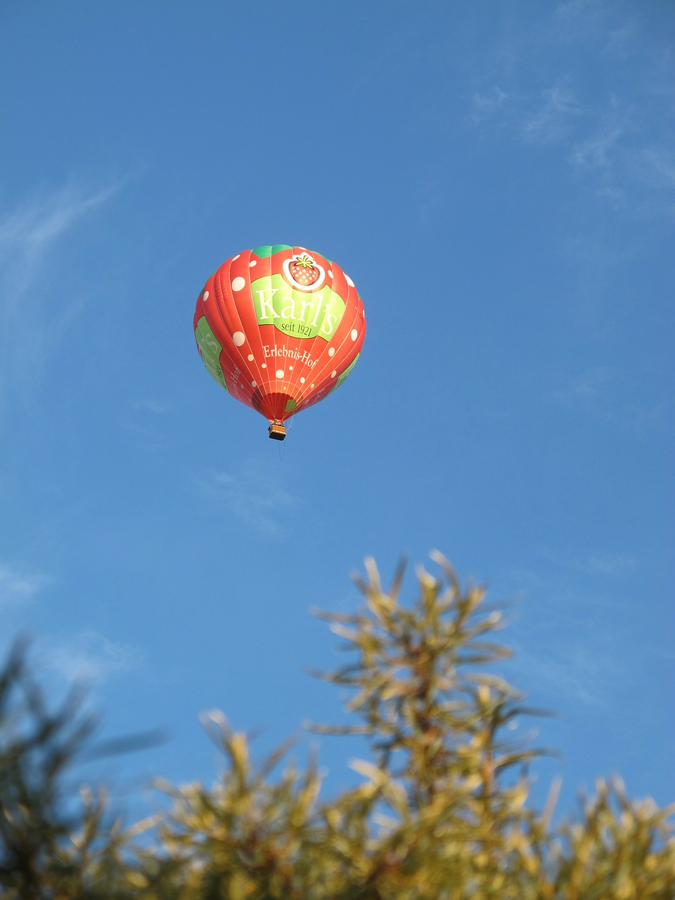 hot air balloon balloon flight free photo