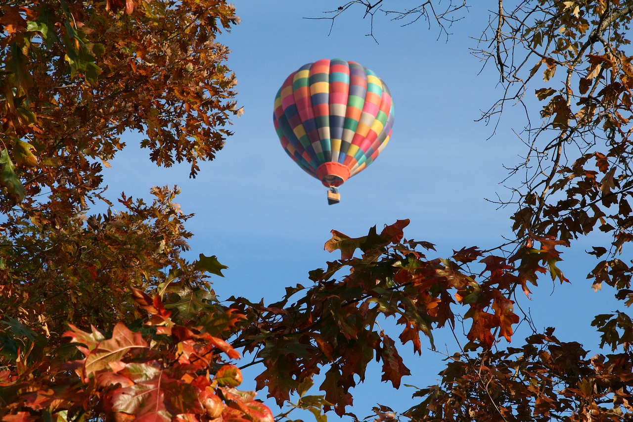 hot air balloon autumn leaves free photo