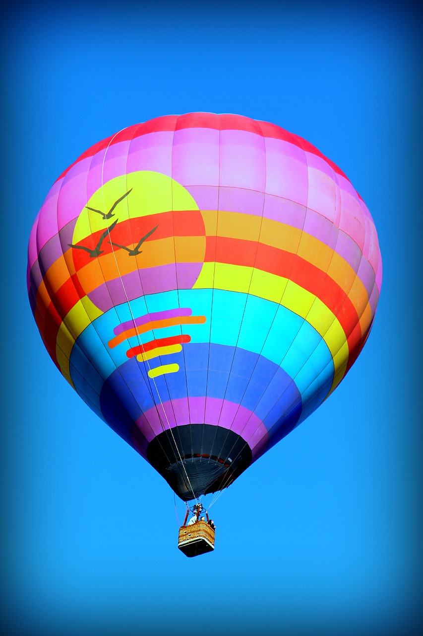 hot air balloon balloon air free photo