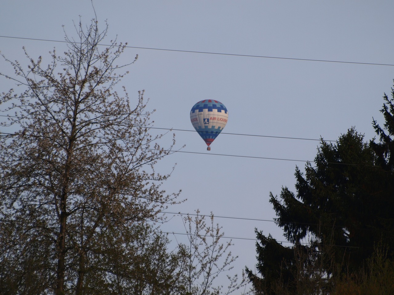 hot air balloon balloon power line free photo