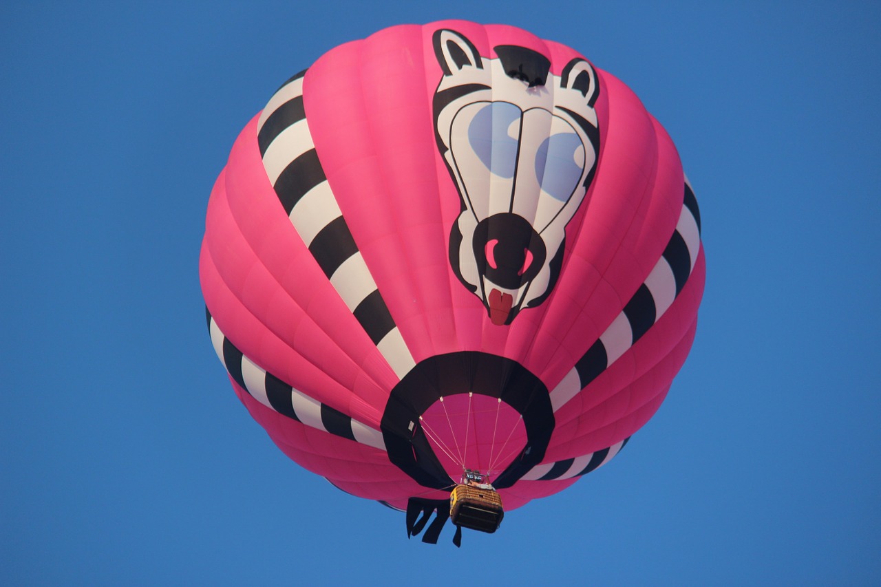 hot air balloon color zebra free photo