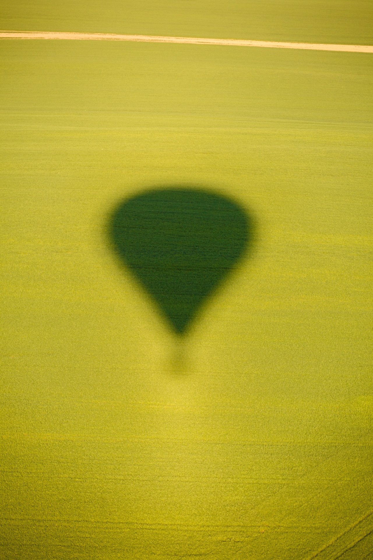 aerial view country field free photo