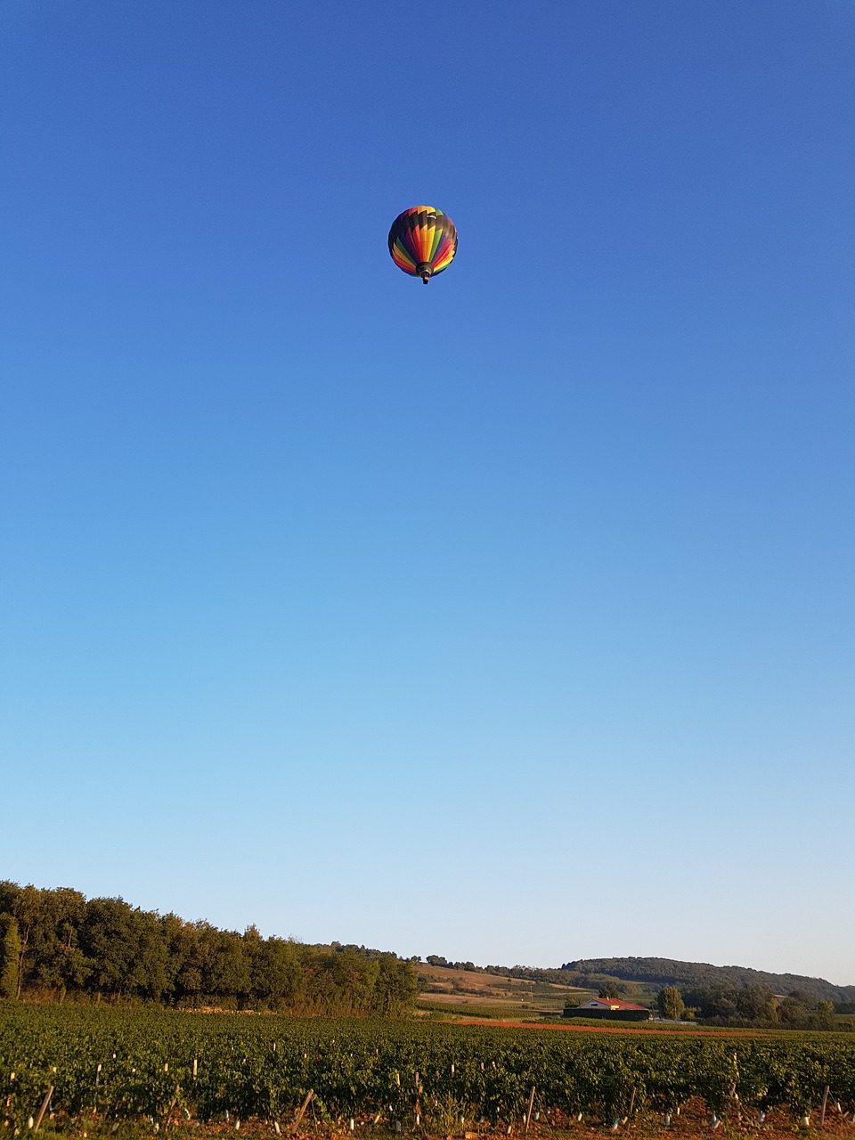 hot-air ballooning lyon alti-reve free photo