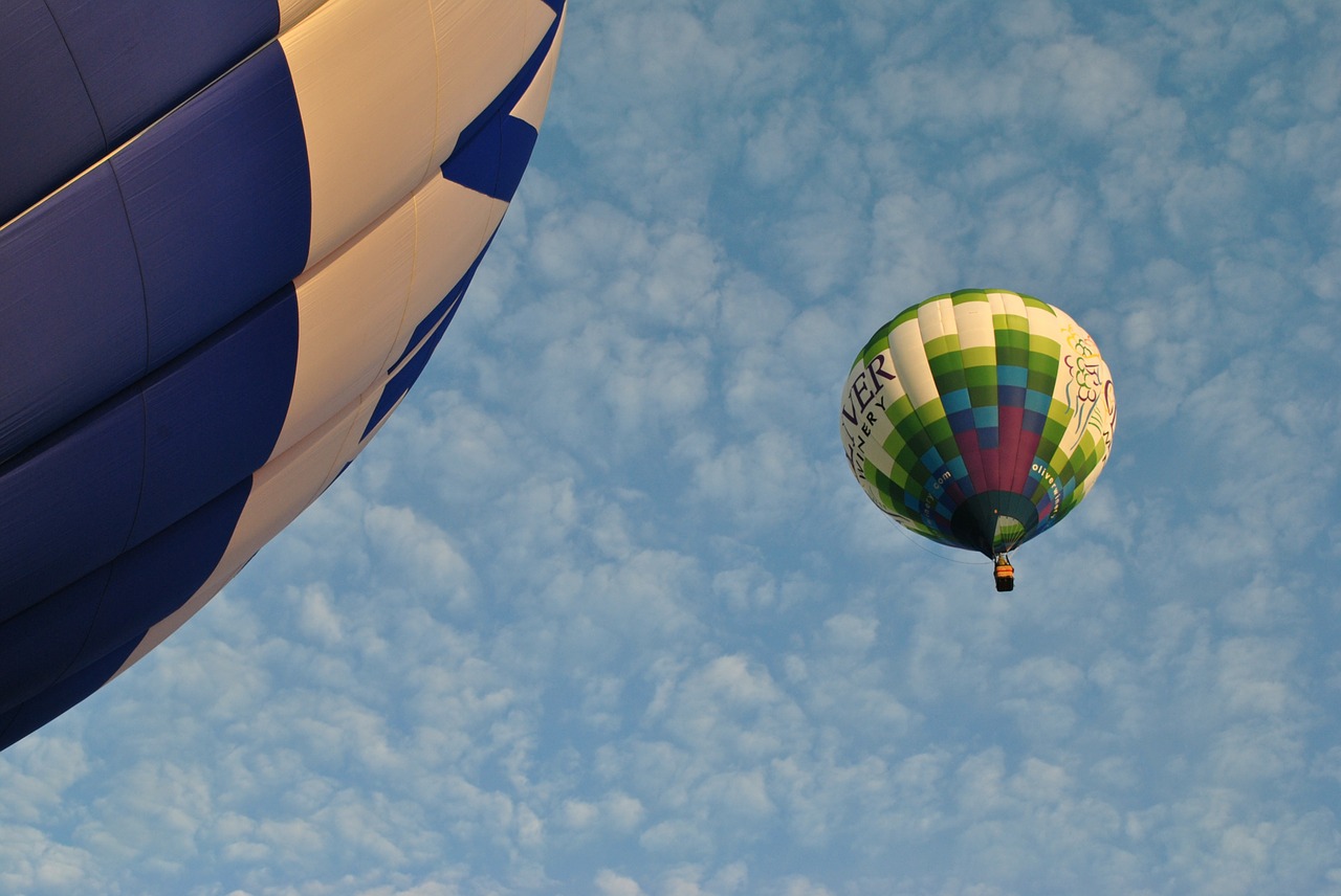 hot air balloons flying air free photo