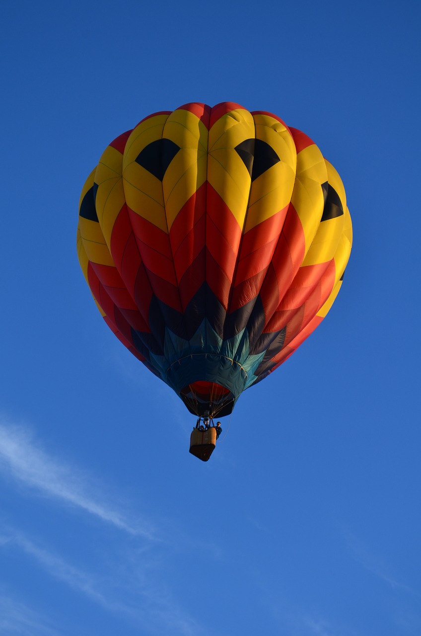 hot air balloons balloon colorful free photo