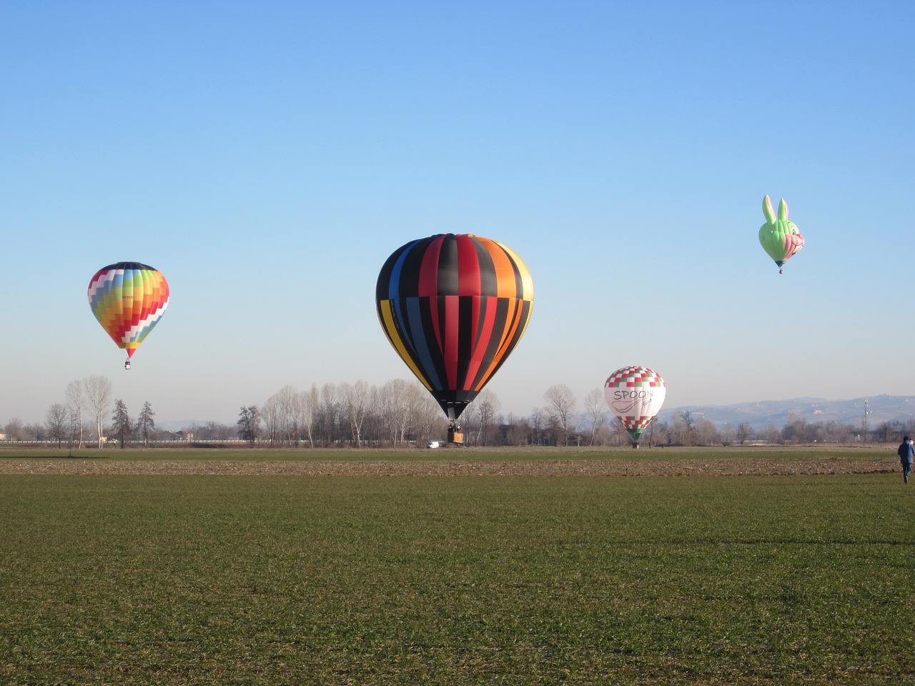 hot air balloons festivalmongolfiere colors free photo