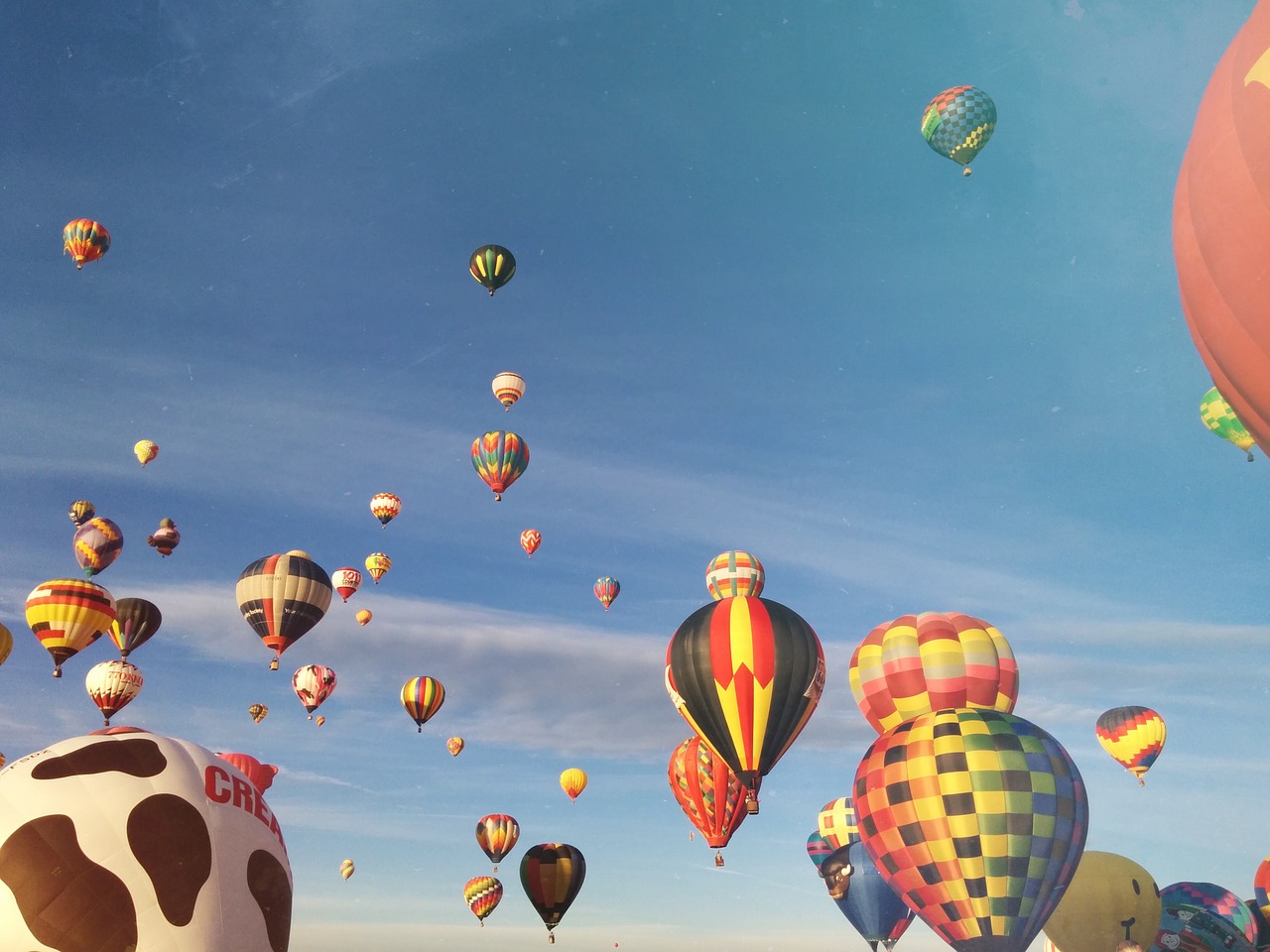 hot air balloons blue sky free photo