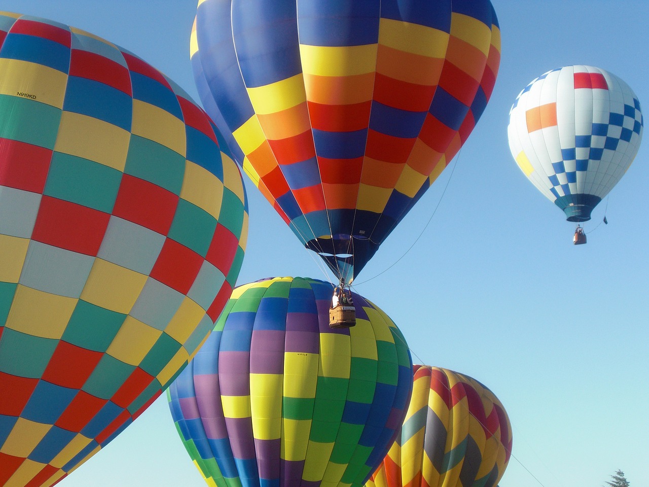 hot air balloons balloons floating free photo