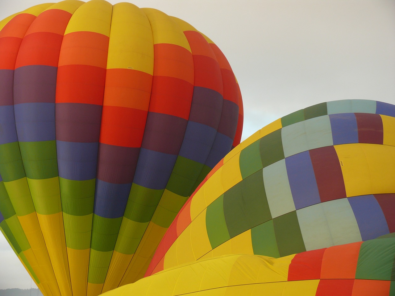 hot air balloons balloons colorful free photo