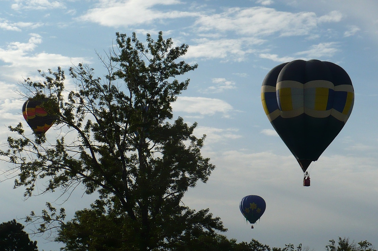 hot air balloons festival ballooning free photo