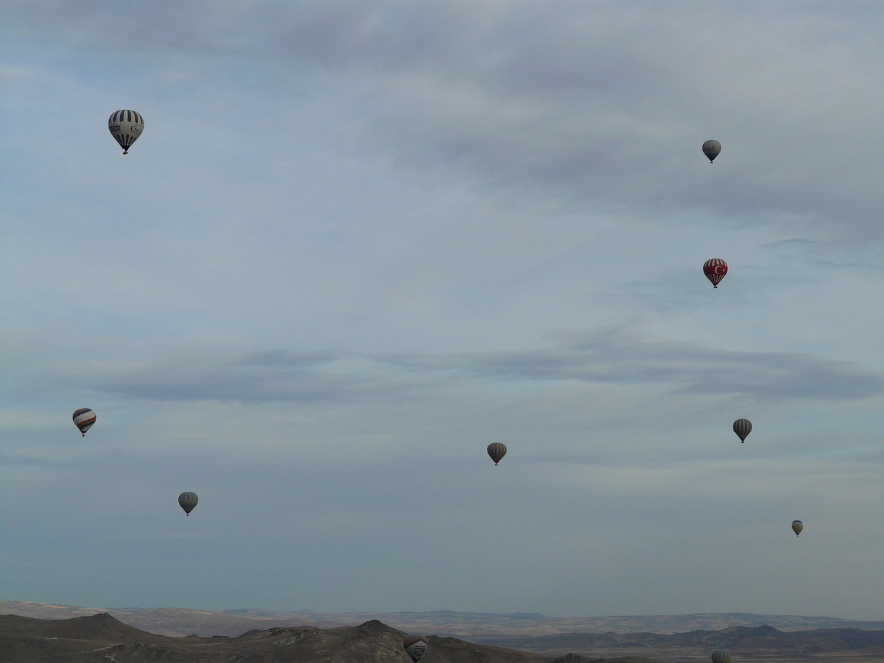 hot air balloons captive balloons hot air balloon ride free photo