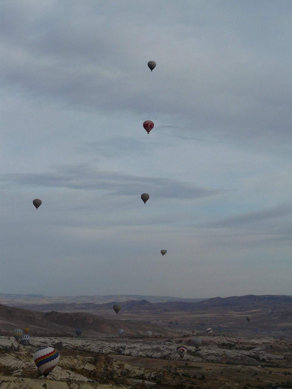 hot air balloons captive balloons hot air balloon ride free photo