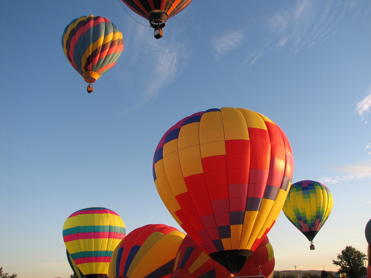 hot air balloons balloons air free photo