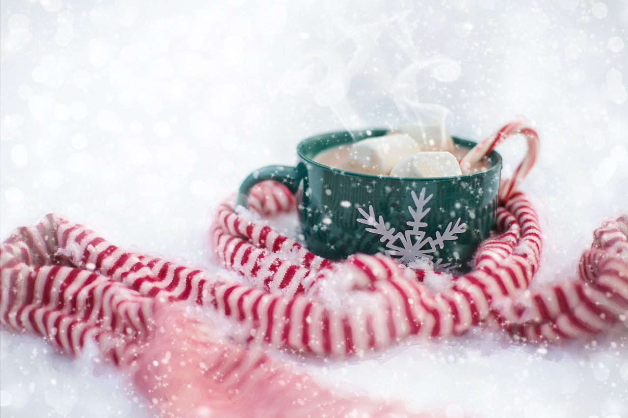 hot chocolate snow scarf free photo