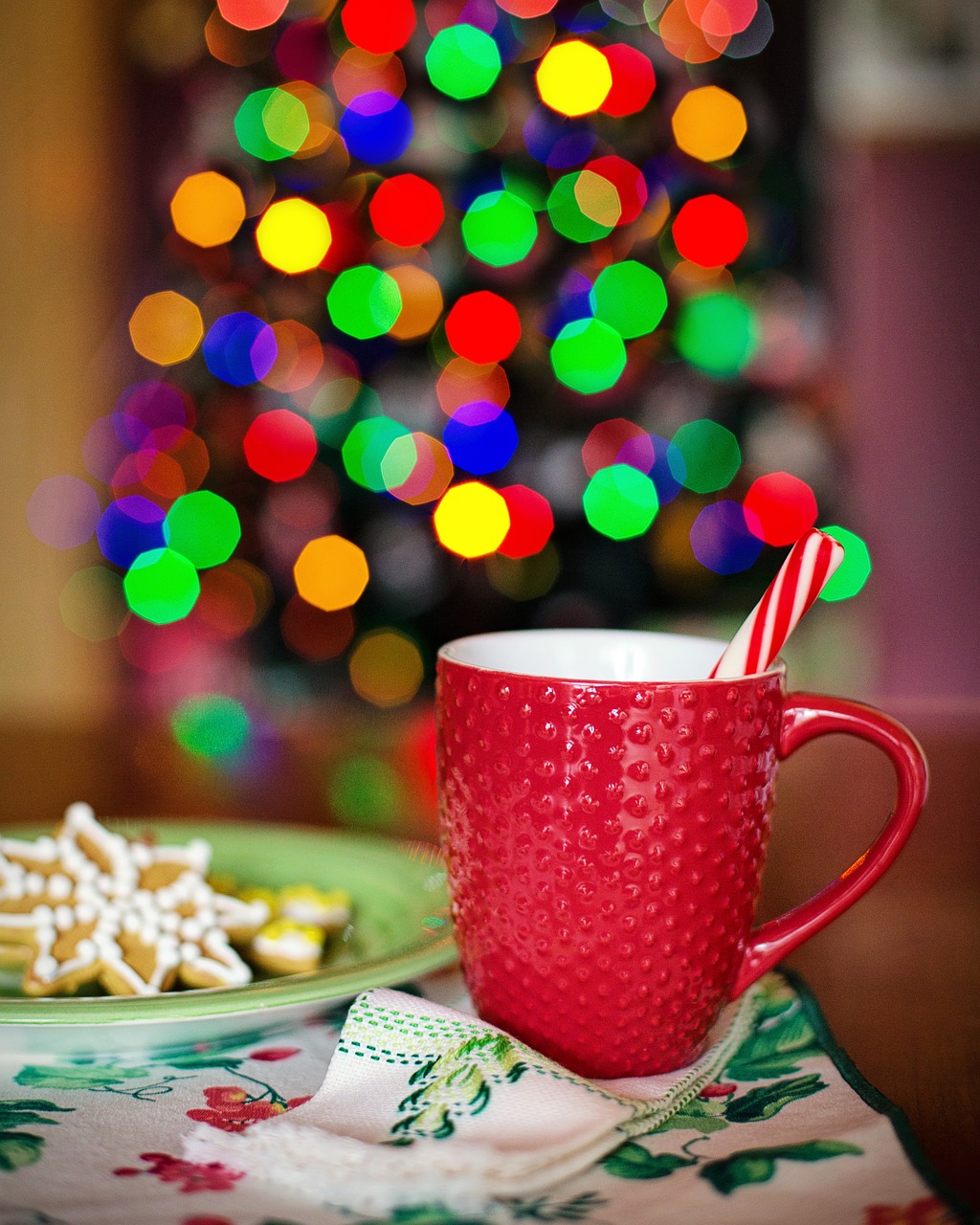 hot chocolate christmas christmas tree free photo