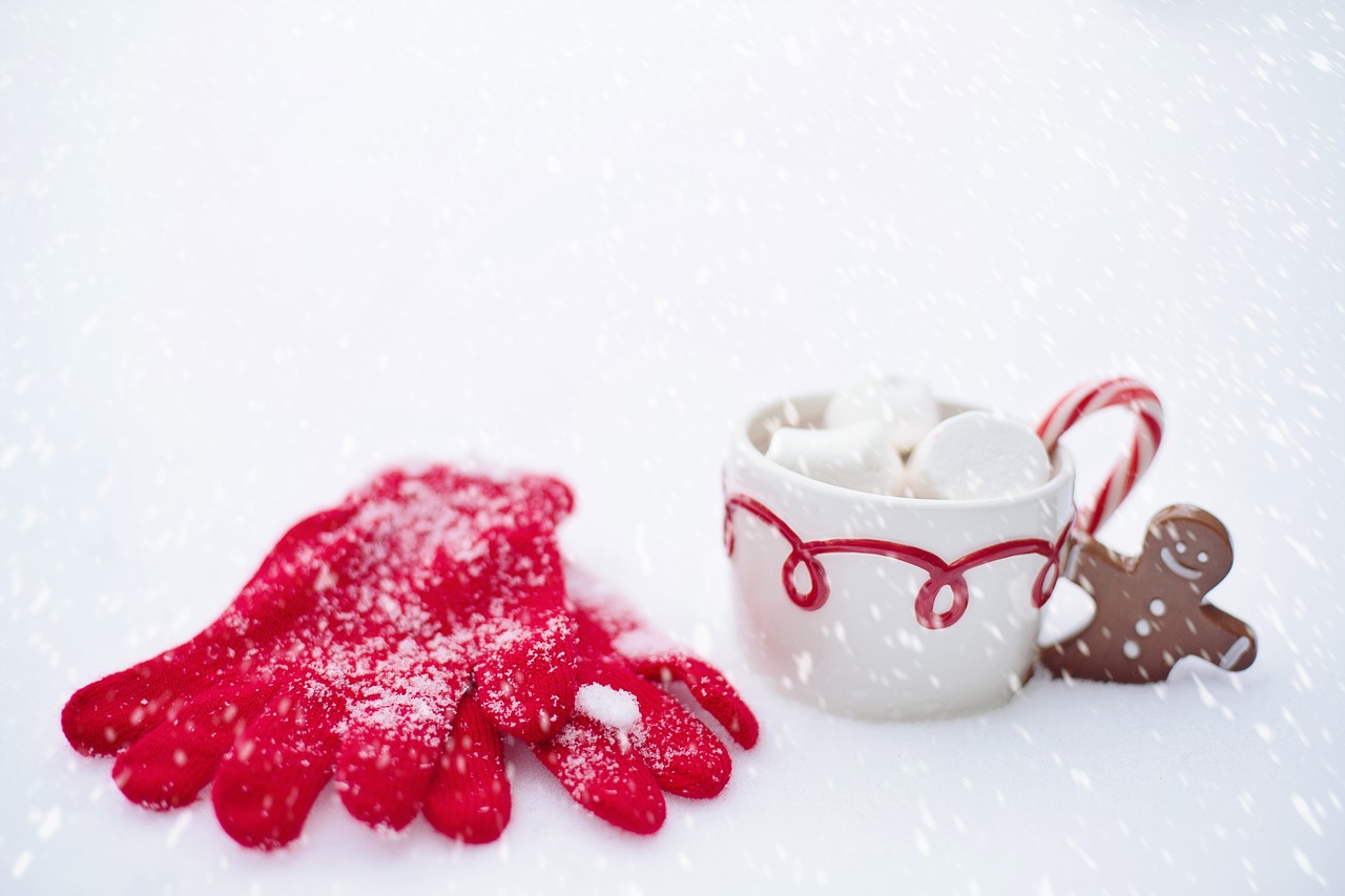 hot chocolate snow winter free photo