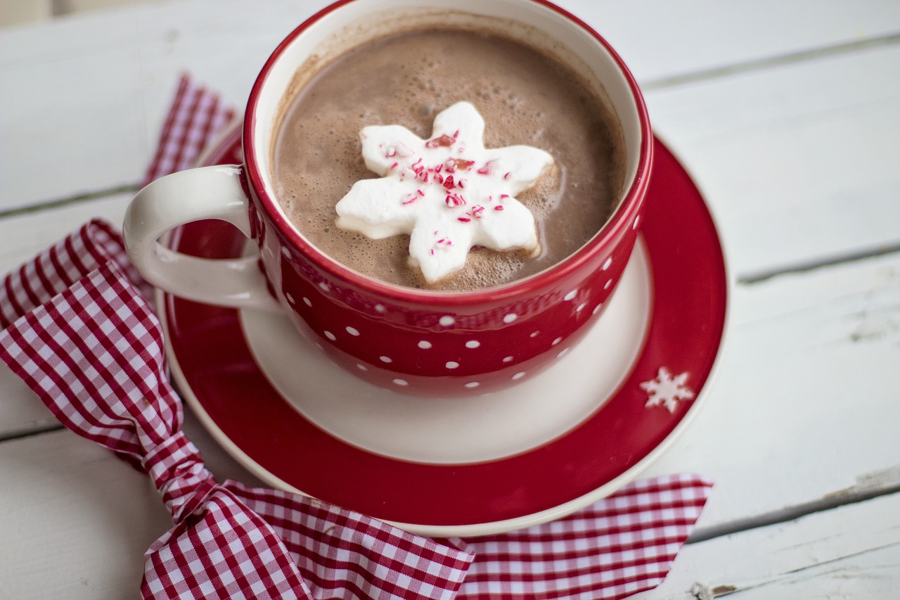 hot chocolate cocoa christmas free photo
