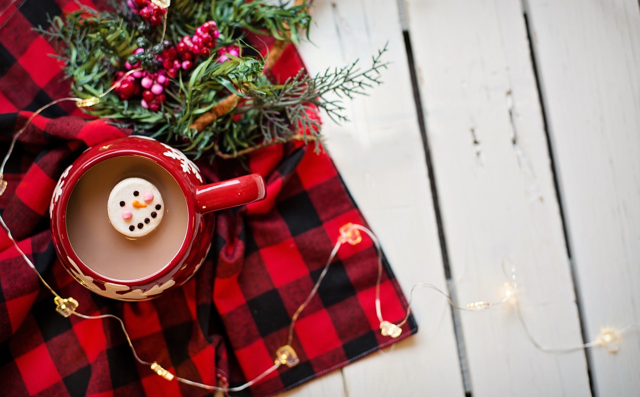 hot chocolate  cocoa  marshmallow free photo