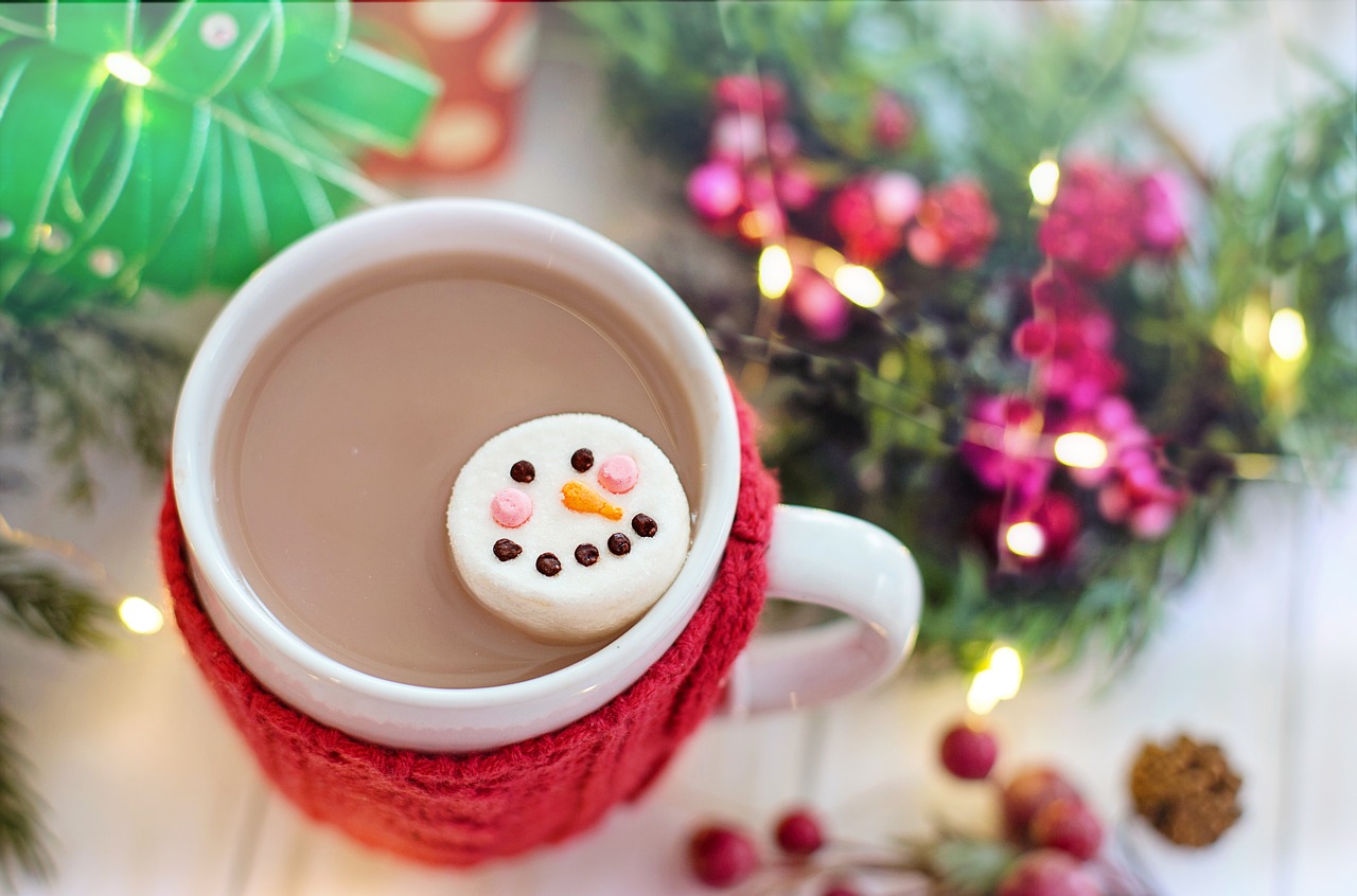 hot chocolate  cocoa  marshmallow free photo