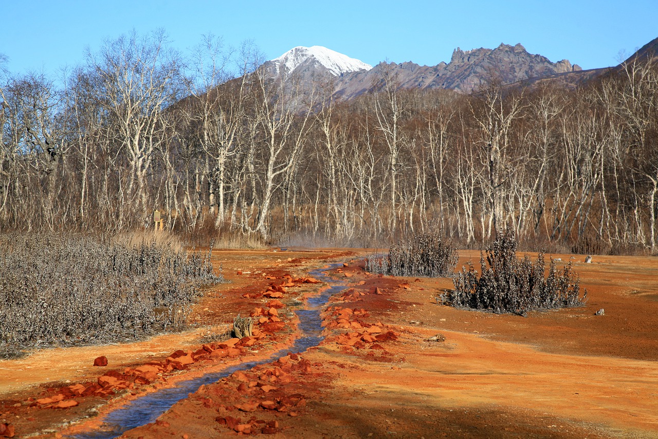 hot spring forest mountains free photo