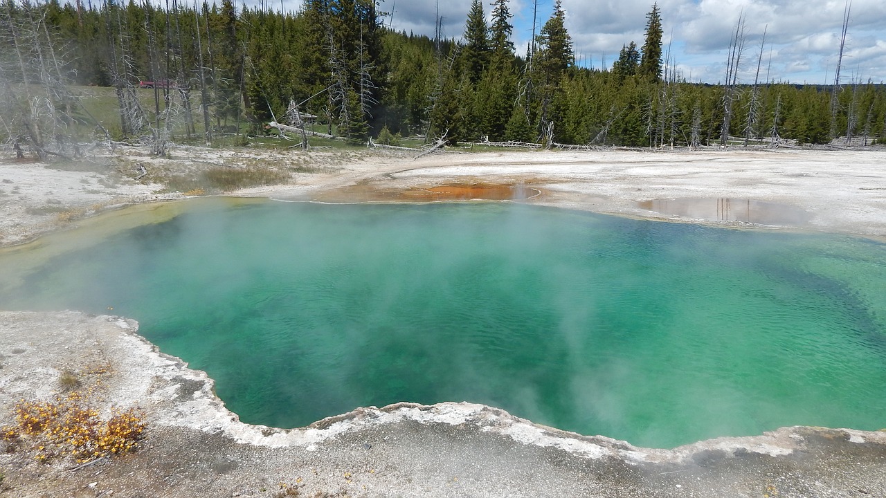 hot springs yellowstone geyser free photo