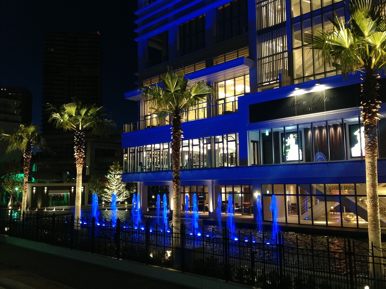 hotel night view palm tree free photo