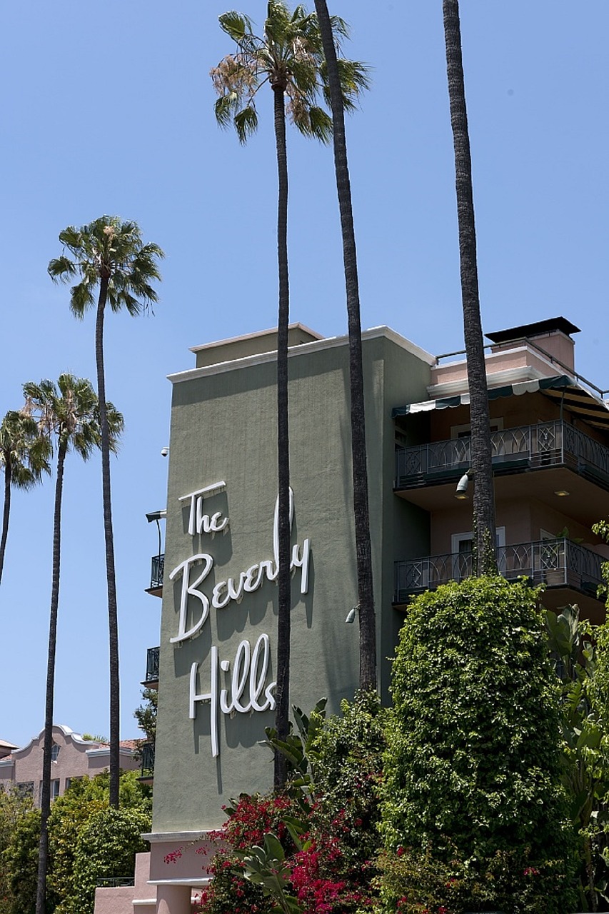hotel beverly hills palm trees free photo