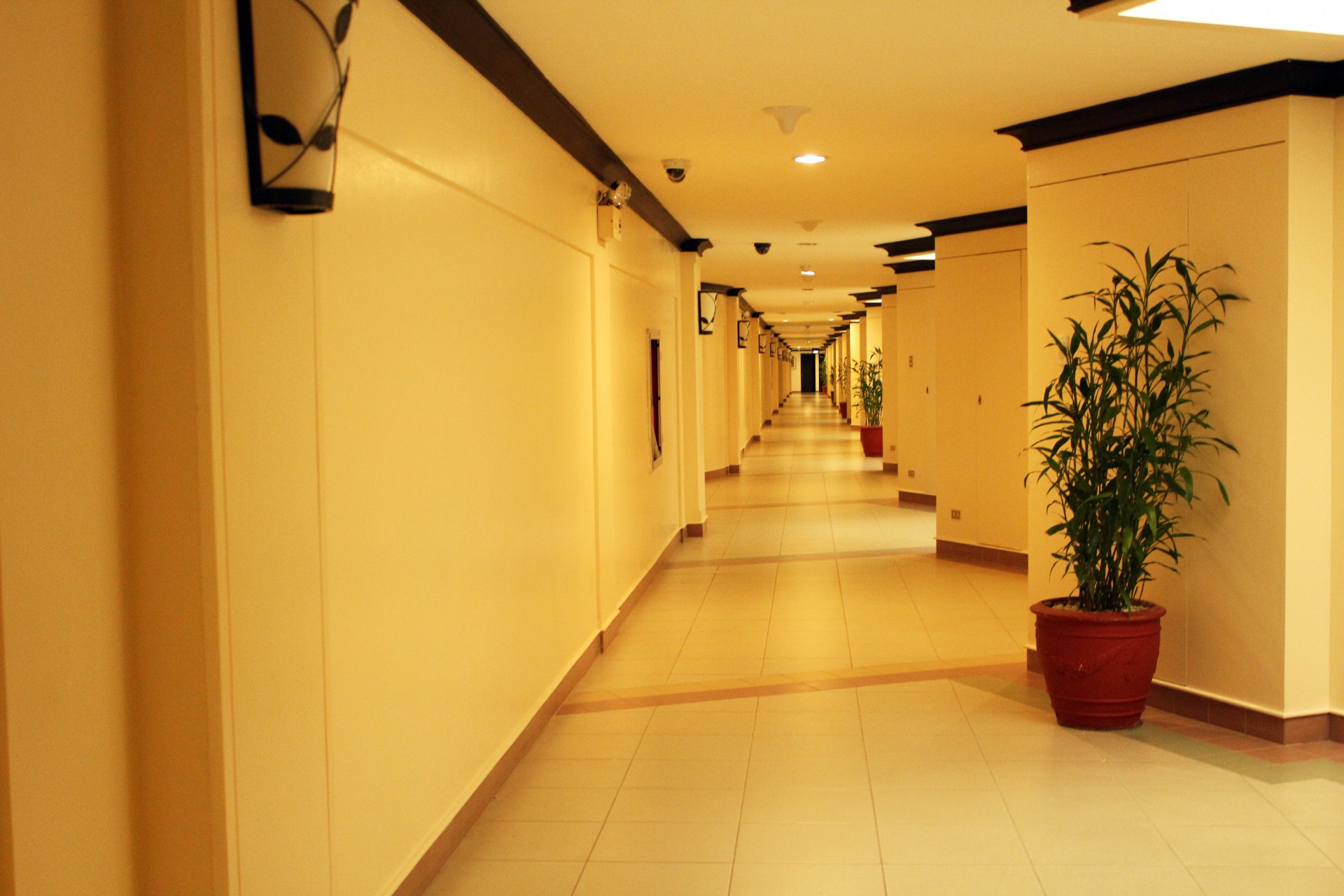 hallway hotel walls free photo