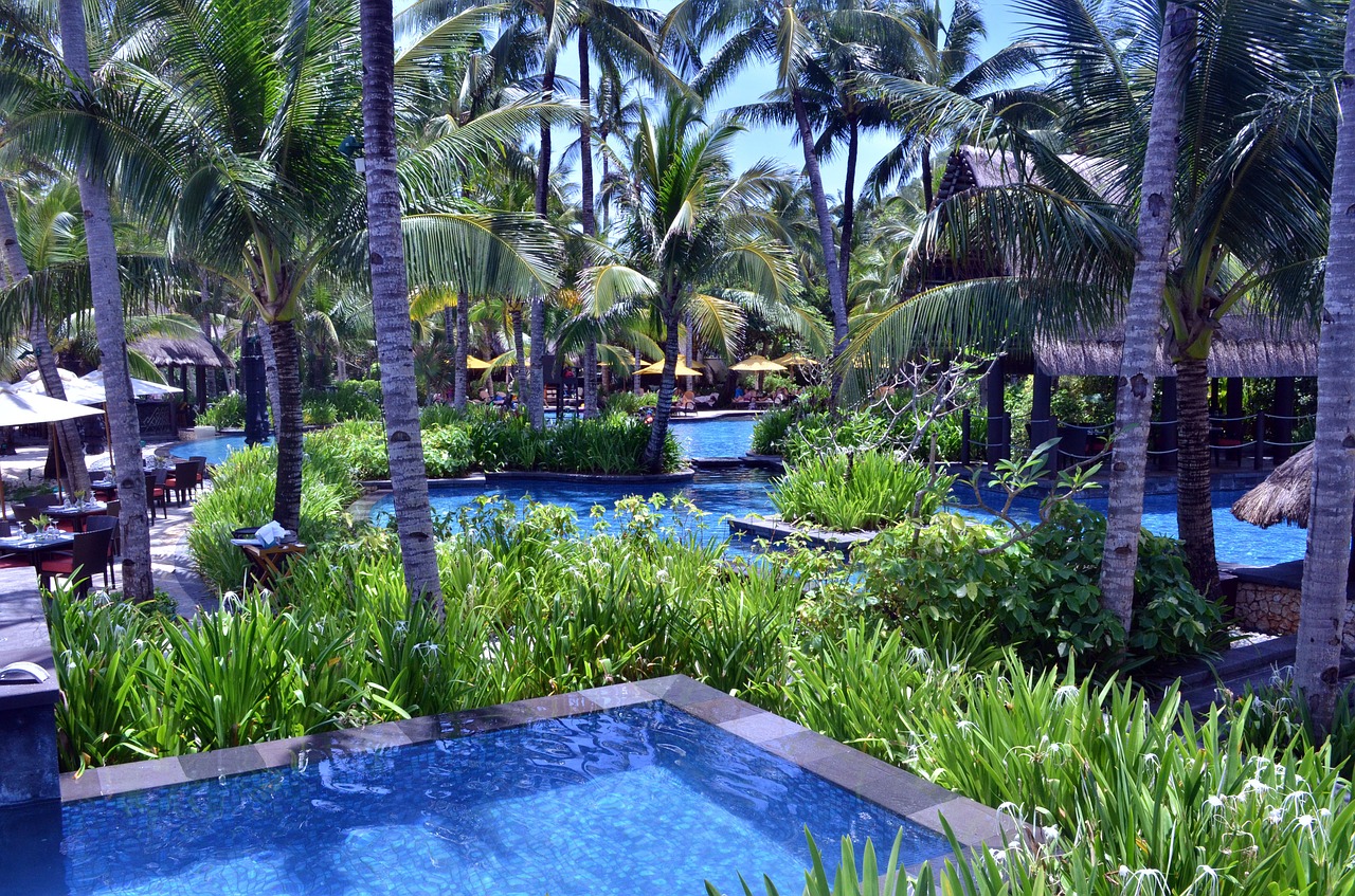 hotel swimming pool resort pool outdoor pool free photo