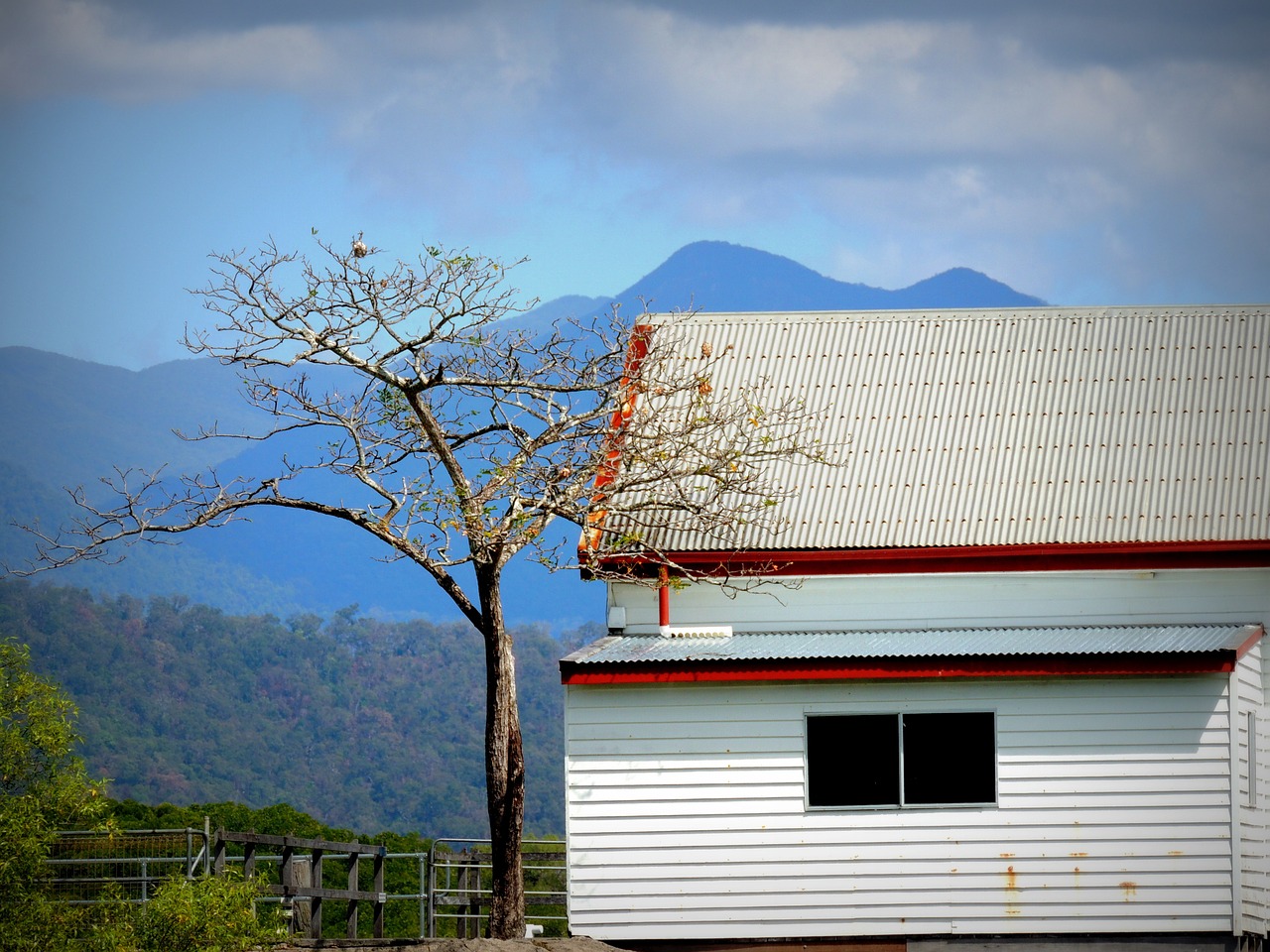 house landscape tree free photo