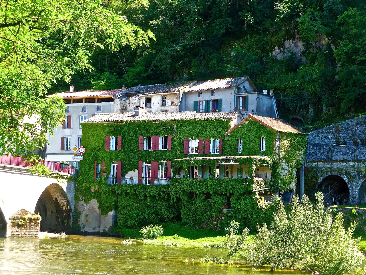 house green vegetation free photo