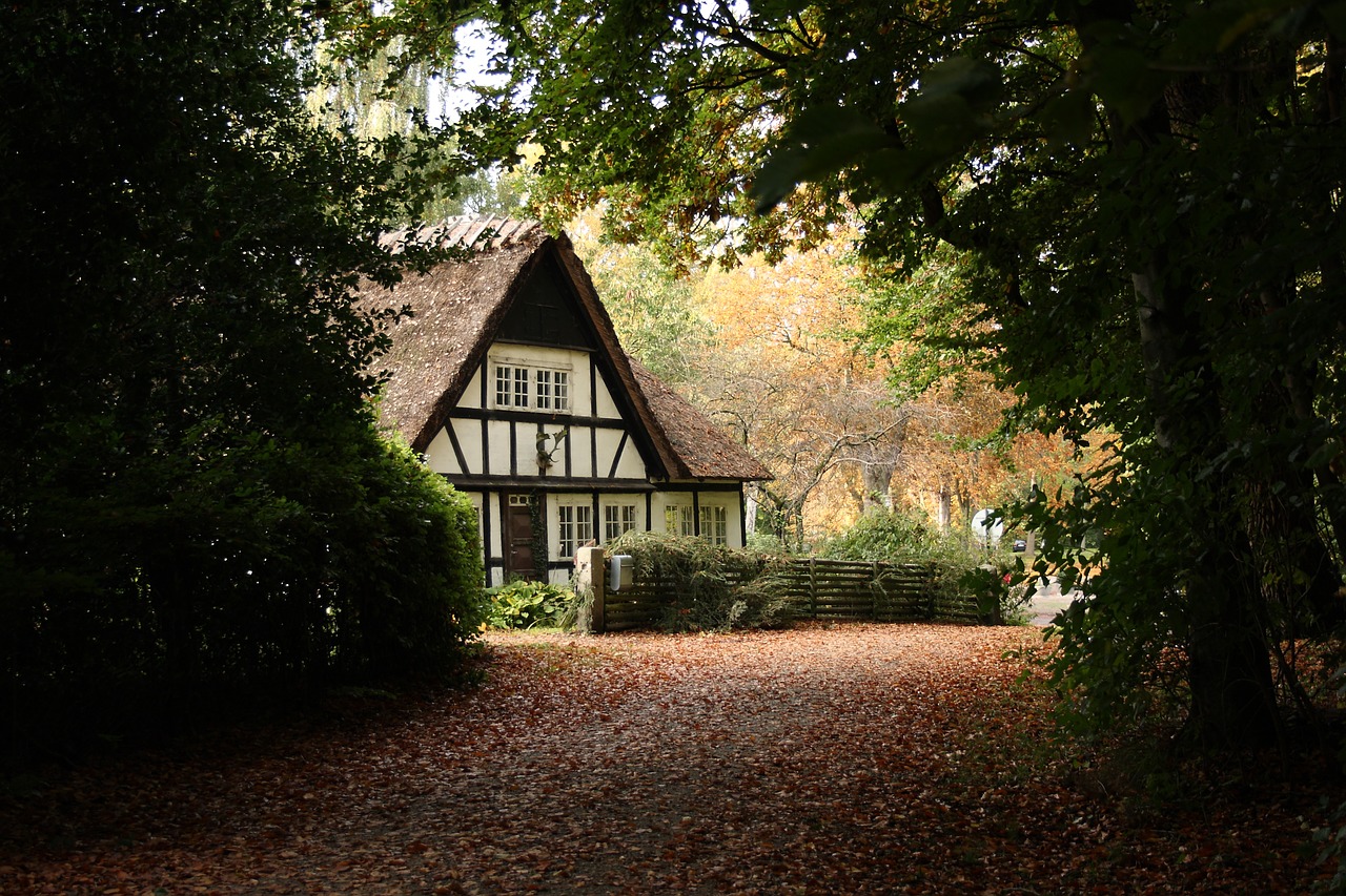 house timber frame thatched roofs free photo