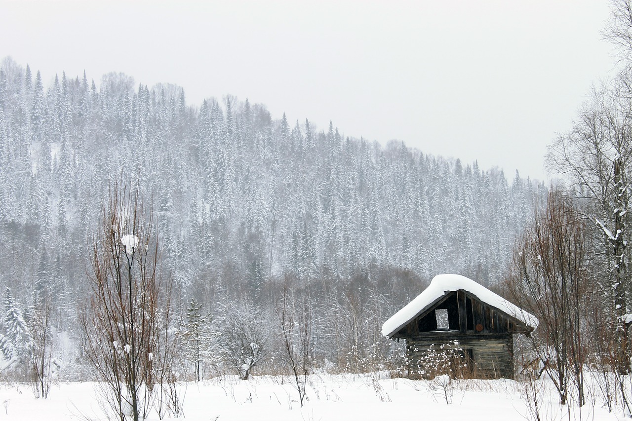 house barn hut free photo