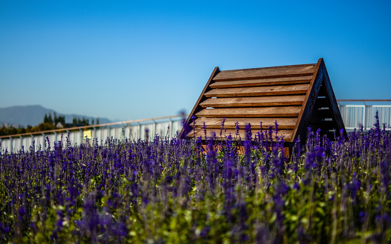 house lavender sky free photo