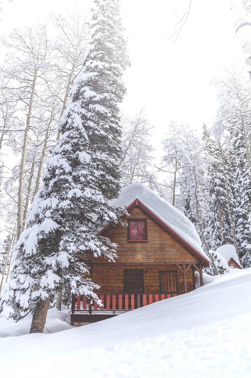 house winter snow free photo