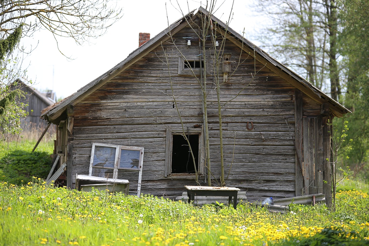 house shack old-house free photo