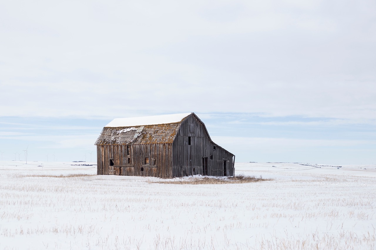 house cabin barn free photo