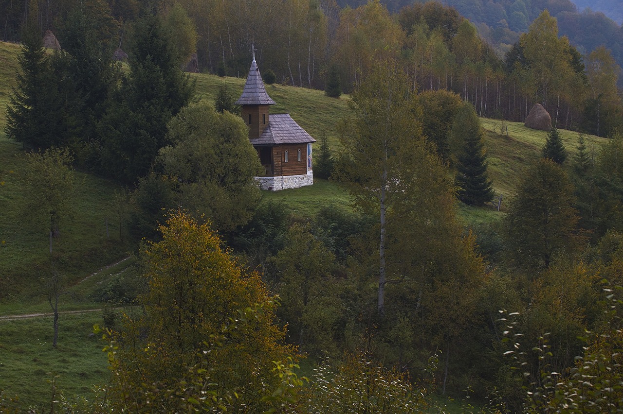 house green grass free photo