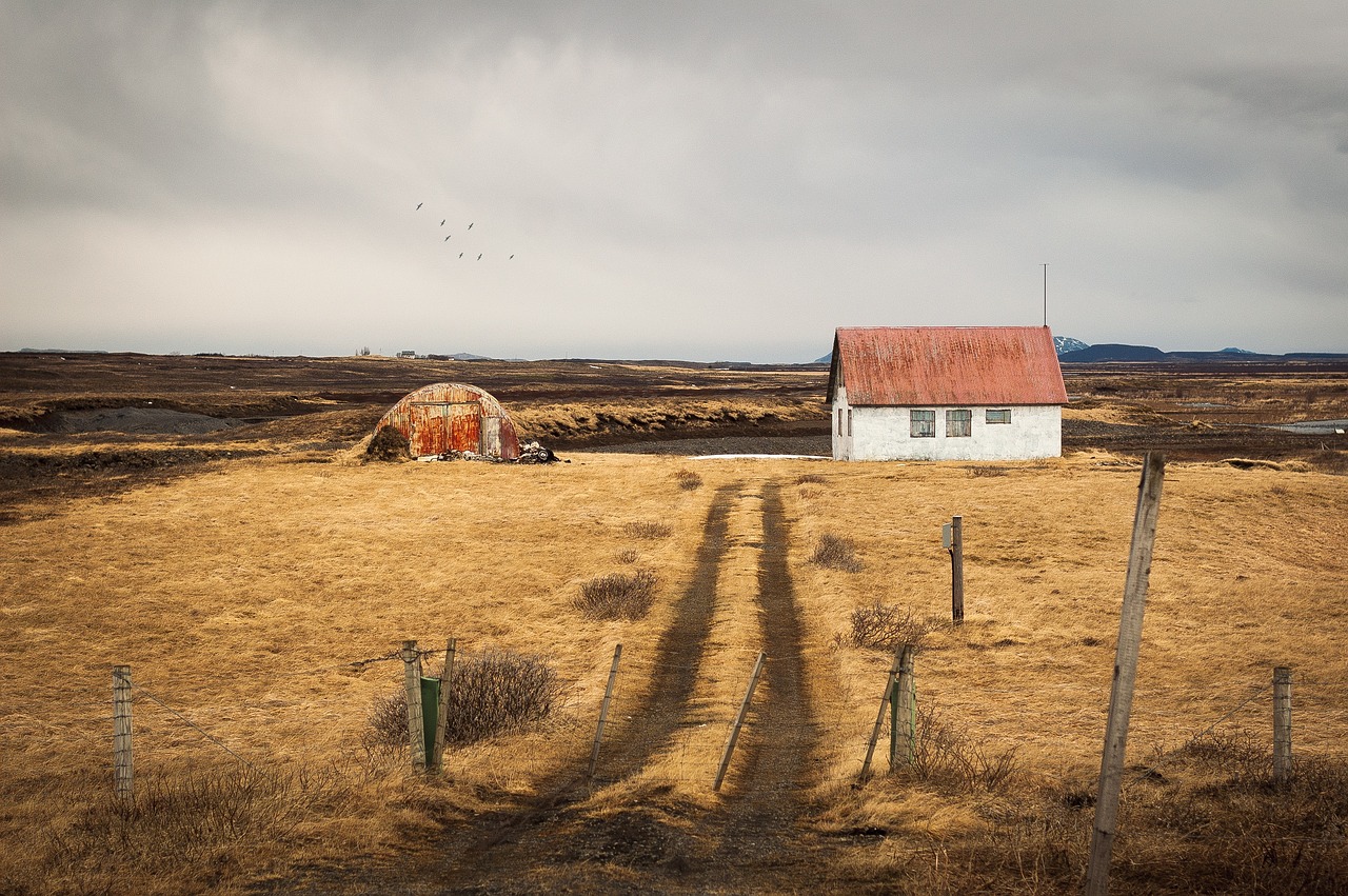 house grass mountain free photo