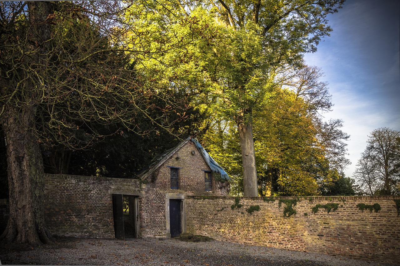 house field rustic house free photo