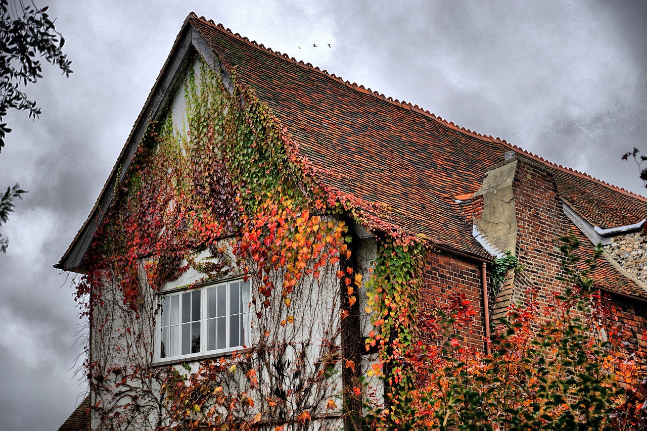 house ivy faversham free photo