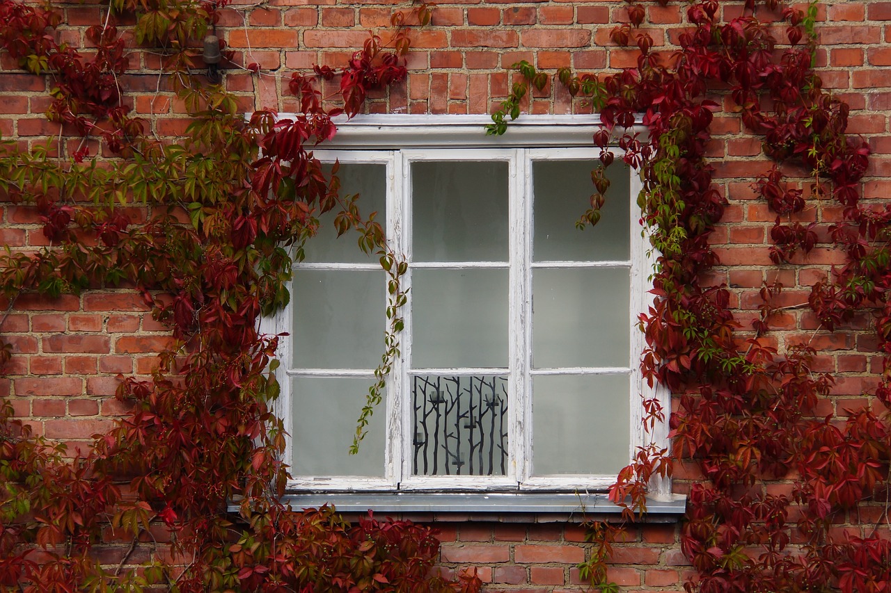 house window architecture free photo