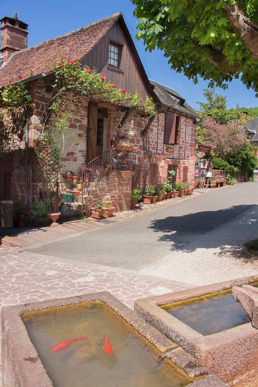 house architecture street free photo