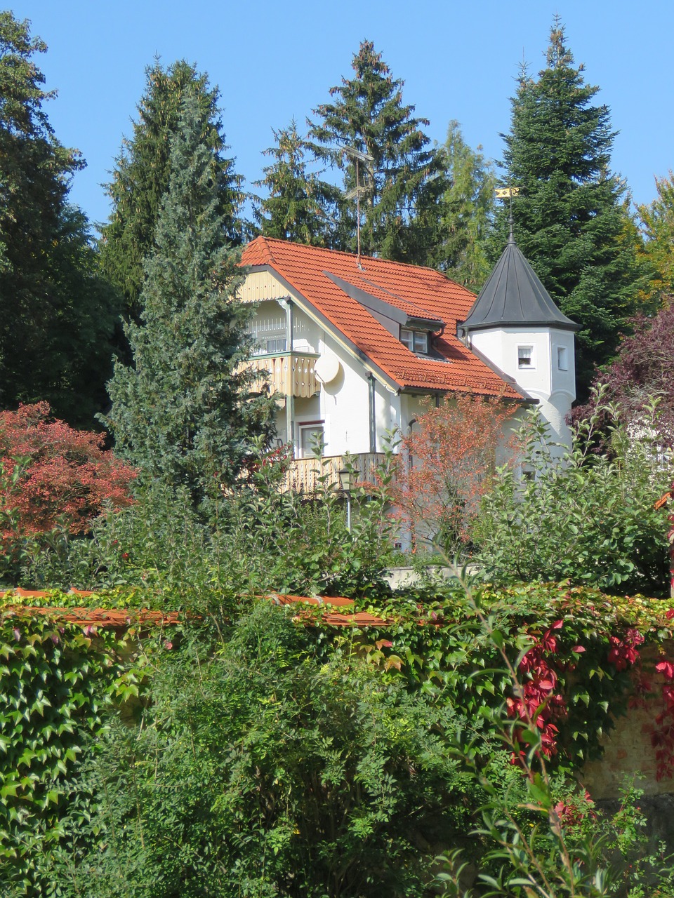 house tree nature free photo