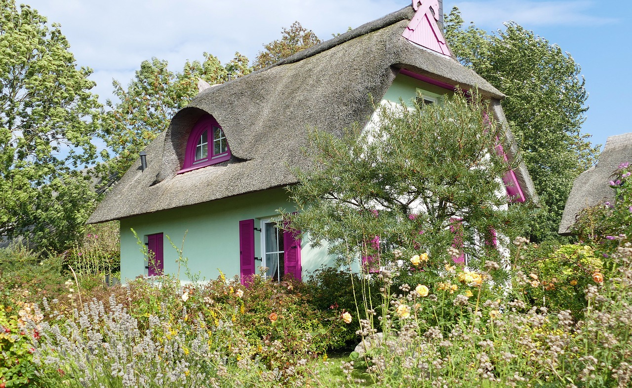 house  building  thatched roof free photo