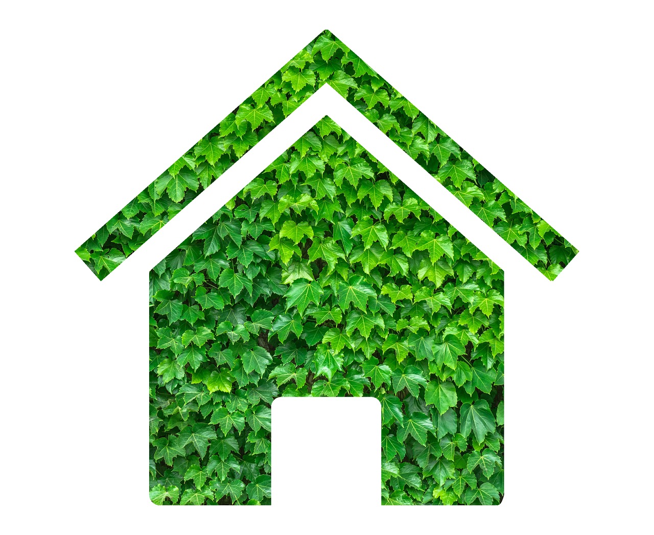 house  sustainable  environmental free photo