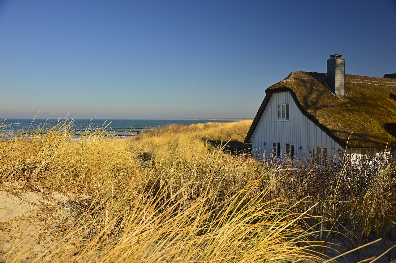 house  thatched cottage  dune free photo